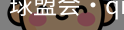 球盟会